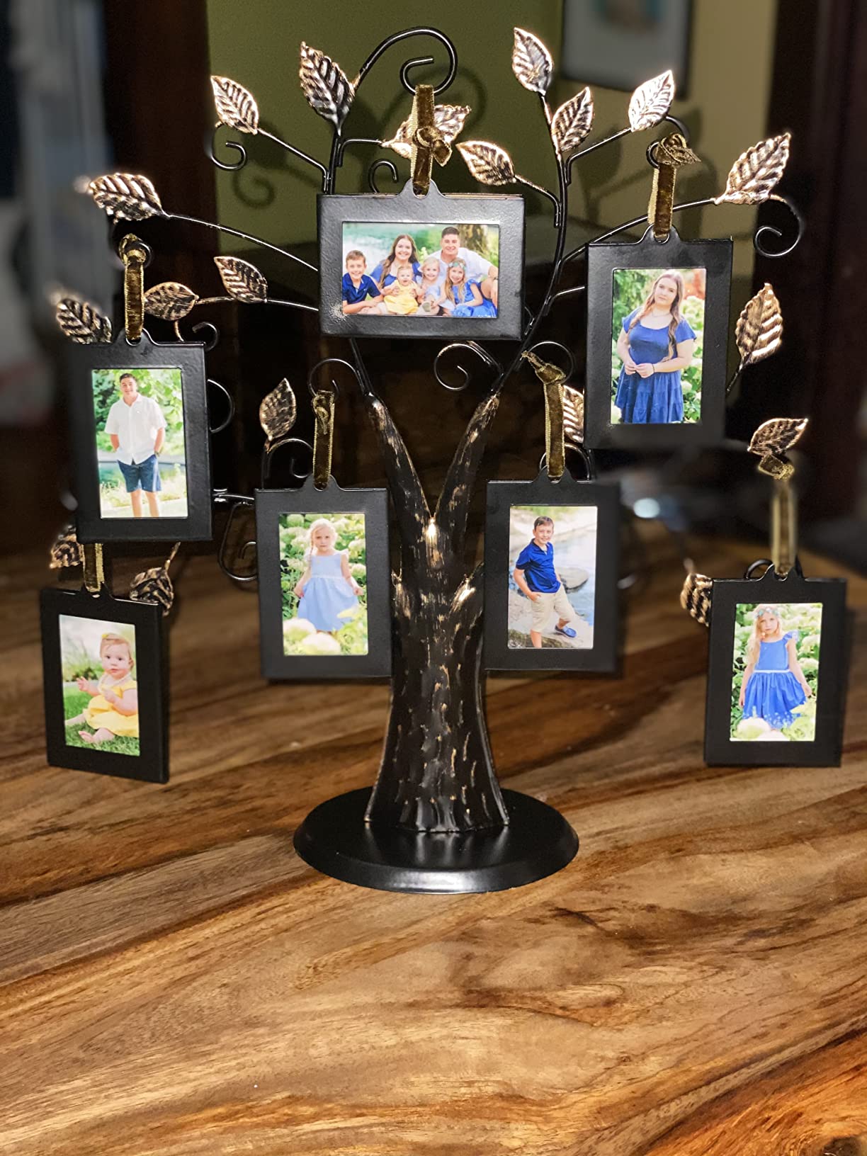 6/mo Finance Klikel Family Tree Picture Frame Stand with 6 Hanging