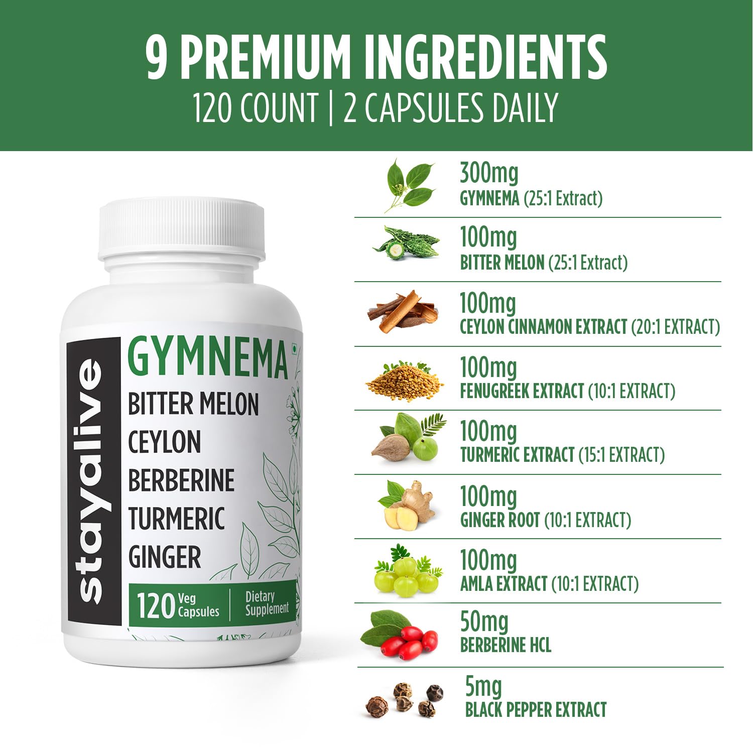 STAY ALIVE Gymnema Sylvestre 25:1 Extract, 120 Capsules with Bitter Melon, Ceylon Cinnamon, Berberine, Turmeric, Ginger, Amla Powder and Fenugreek, Non-GMO & Gluten Free Gymnema Sylvestre Supplement - Image 3 thumbnail