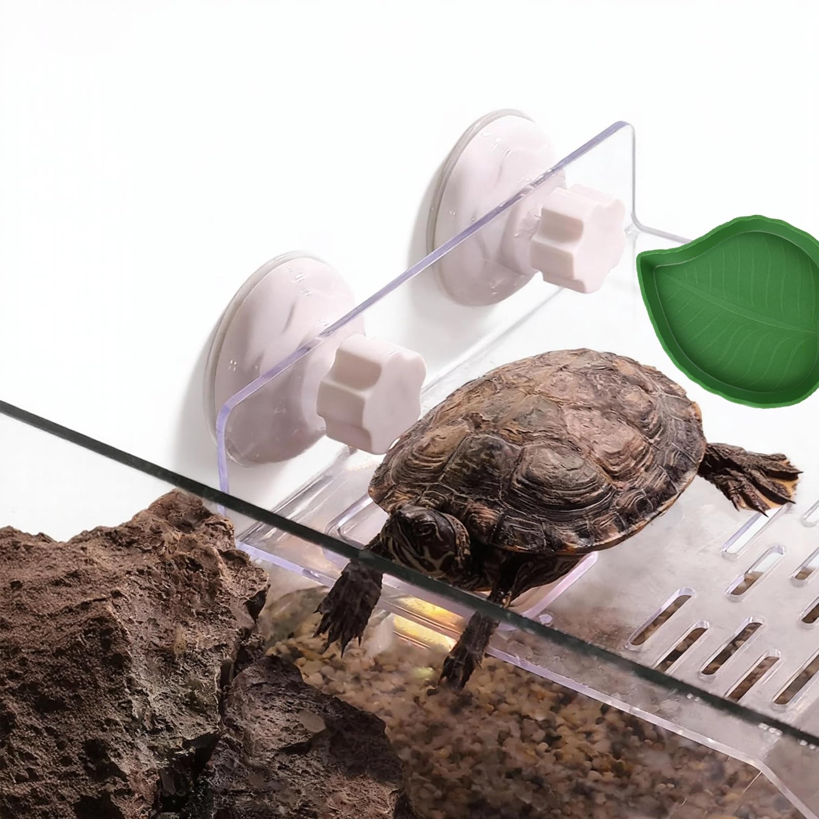 Plateforme pour Tortue, Gamelle Tortue Terrestre, Nourriture pour Bol pour Reptiles en Feuilles, Convient aux Petits Reptiles, Tortues, Salamandres, Serpents et Lézards