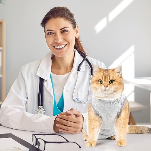 Miniatura 8 de Avont Paquete de 2 trajes de recuperación para gatos  Mameluco de gatito para gatos después de la cirugía, traje de recuperación quirúrgica de
