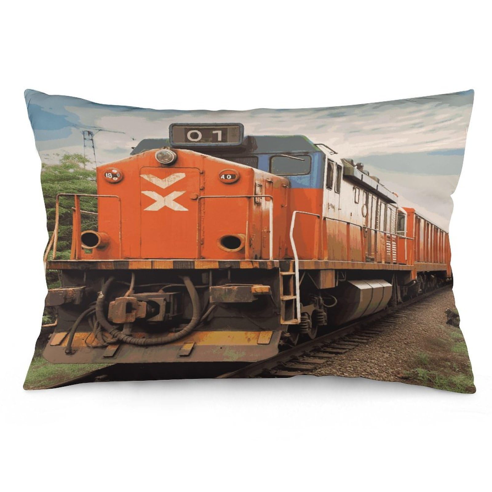 Train Throw Pillow Covers with Silent Zipper Polyester Pillow Protectors Removable Pillow Cases Soft Pillowcase Cozy Pillow Sham Cushion Cover for Sofa Car Bed 20"x30"