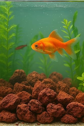 Miniatura 4 de Rocas de lava roja de 18 a 20 libras de 1 a 3 pulgadas  Piedras volcánicas naturales para paisajismo, caminos, bordes, mantillo, hogueras, acuarios,