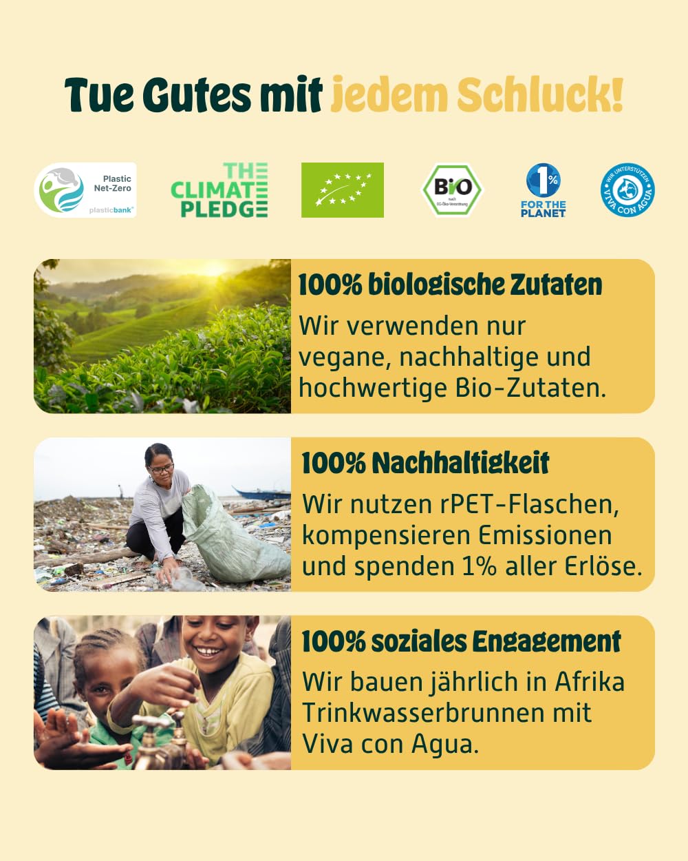 KOMBUCHERY® Mango Raw Kombucha BIO | 12 x 400ml | Fermentierter Tee mit aktiven Darm-Kulturen | Zuckerarm & Kalorienarm | Unpasteurisiert, PrioBiotic, Vegan, Testsieger | inkl. 3€ PFAND