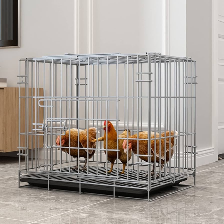 Amazon.co.jp: 鶏小屋 鶏用ケージ 鶏舎 飼育ケージ 動物 うさぎ ケージ 