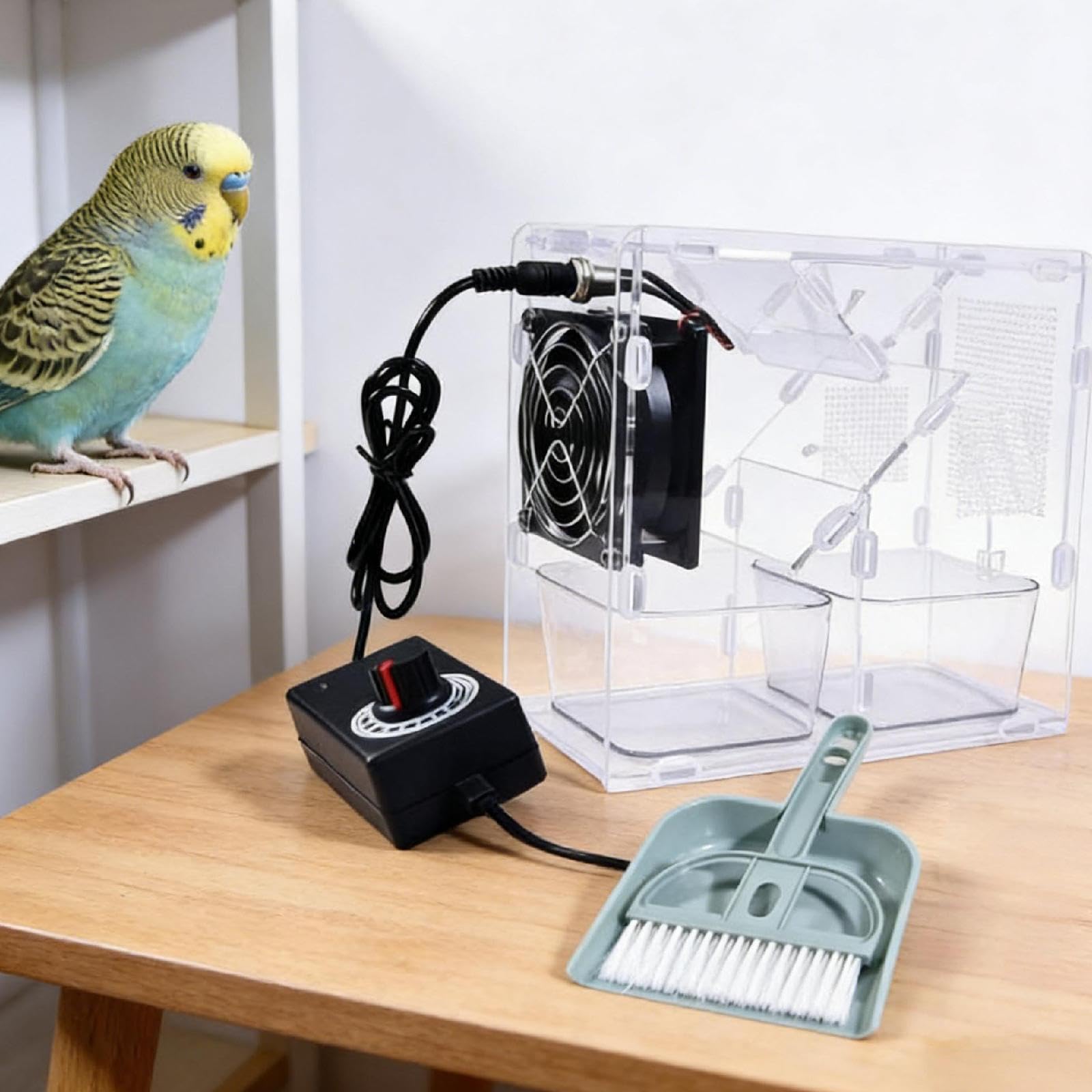 Machine de soufflage de Grains pour Oiseaux, séparateur de Polyvalent pour Aliments pour Oiseaux, avec Pelle