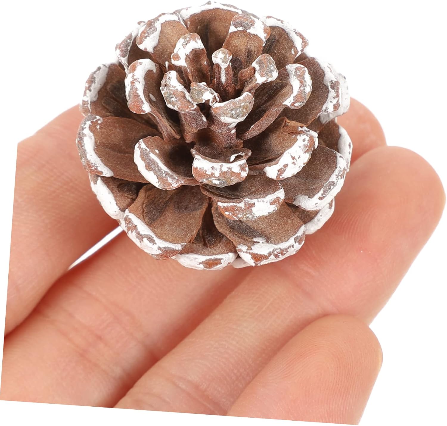 OSALADI 2sets Dried for Christmas Crafts Natural Pine Cones Bulk for Decor and Holiday Projects Safe for Boys and Girls Creative Activities