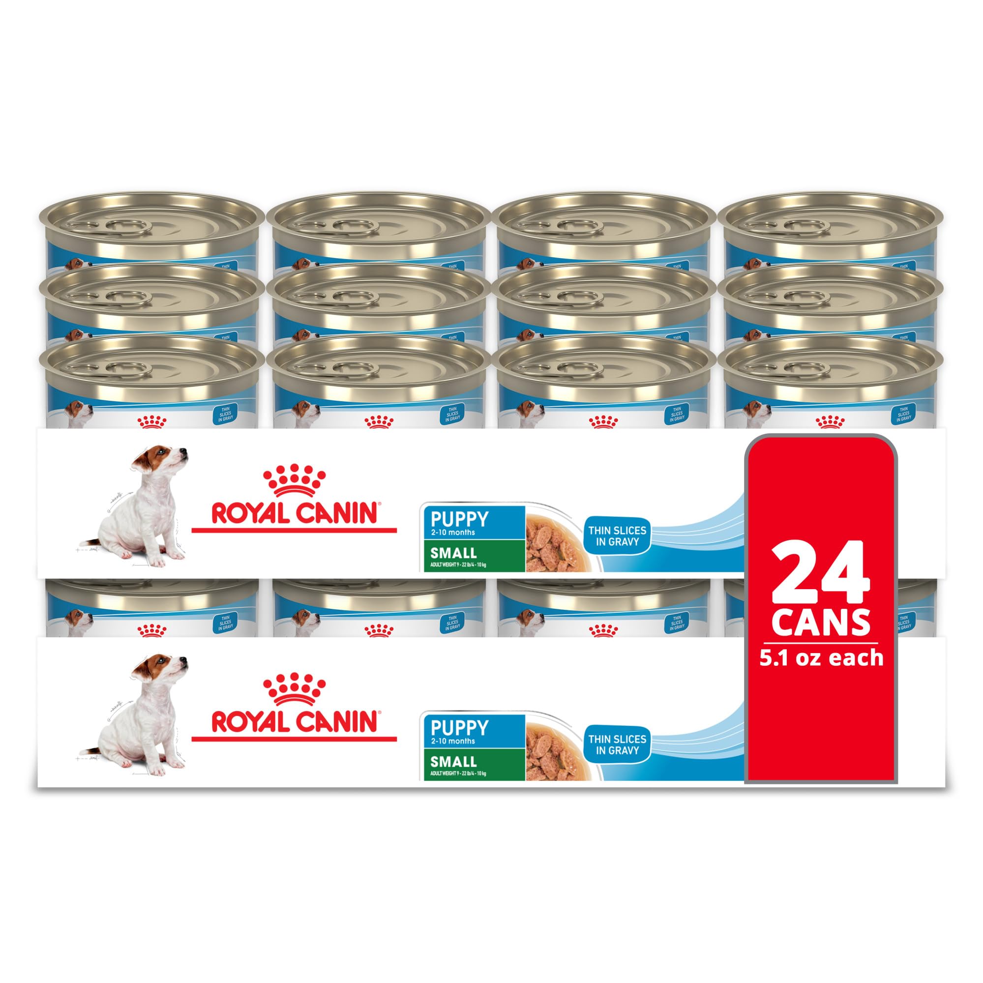 Royal Canin Small Breed Puppy Wet Dog Food, 5.1 oz 24-Pack