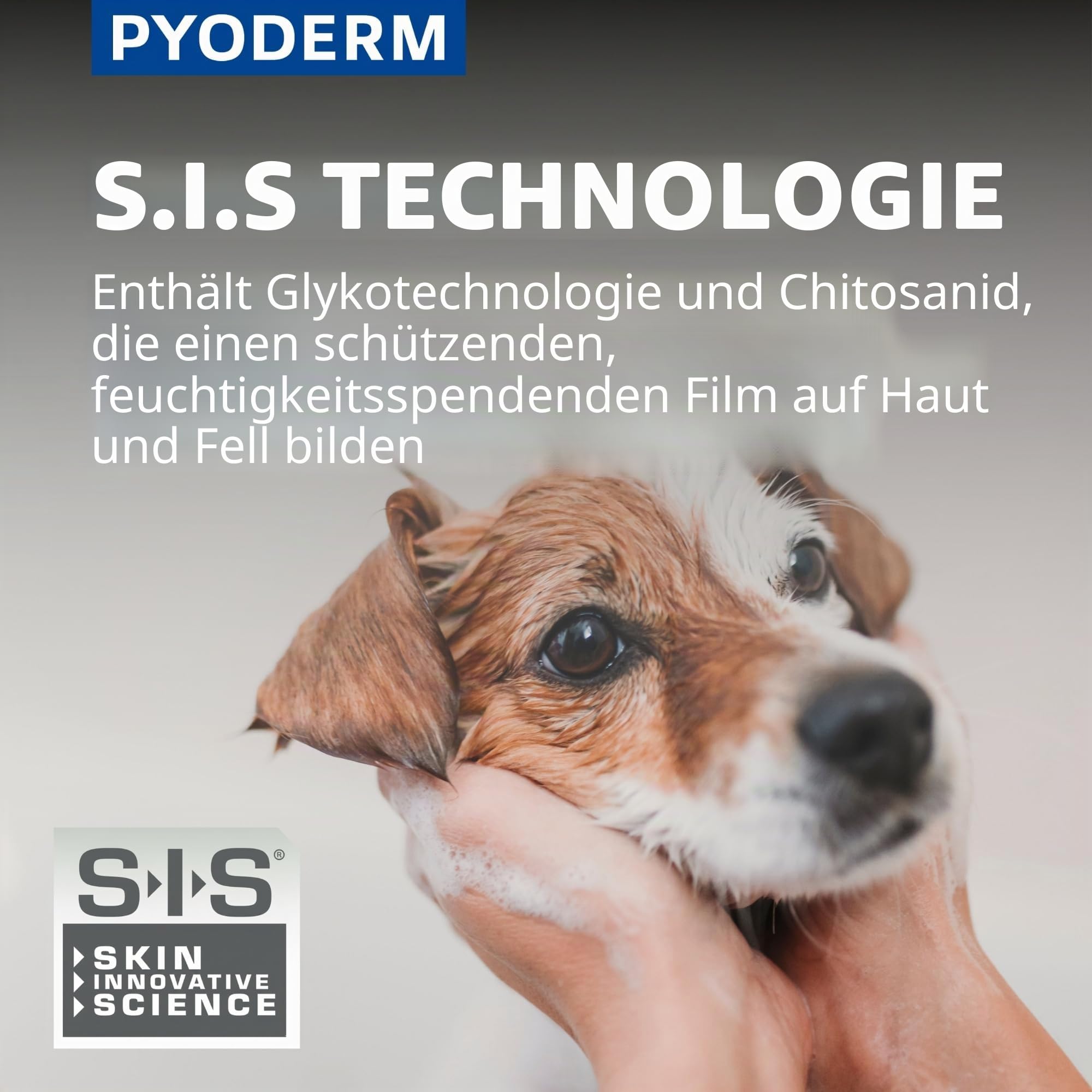 SHAMPOING PYODERM GLYCOTEC Chien & Chat 250 ml