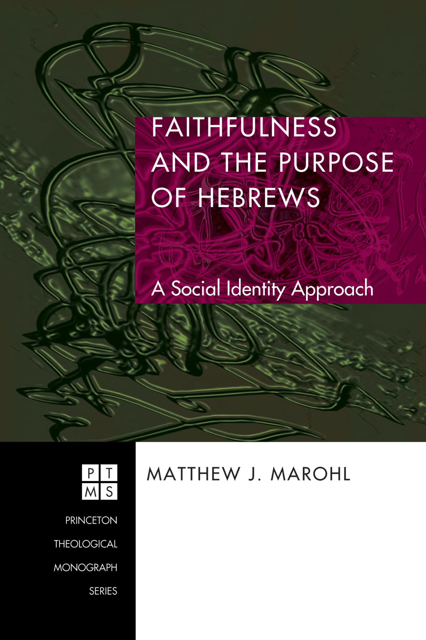 Faithfulness and the Purpose of Hebrews: A Social Identity Approach (Princeton Theological Monograph)