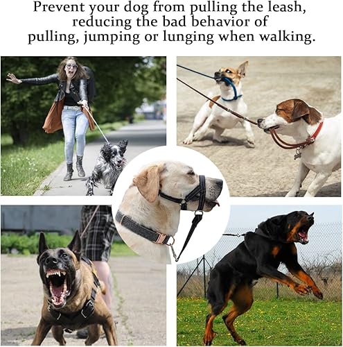 Miniatura 18 de BARKLESS Collar de cabeza de perro, sin tirones, con acolchado suave, arnés reflectante acolchado suave para perros medianos, Beagle