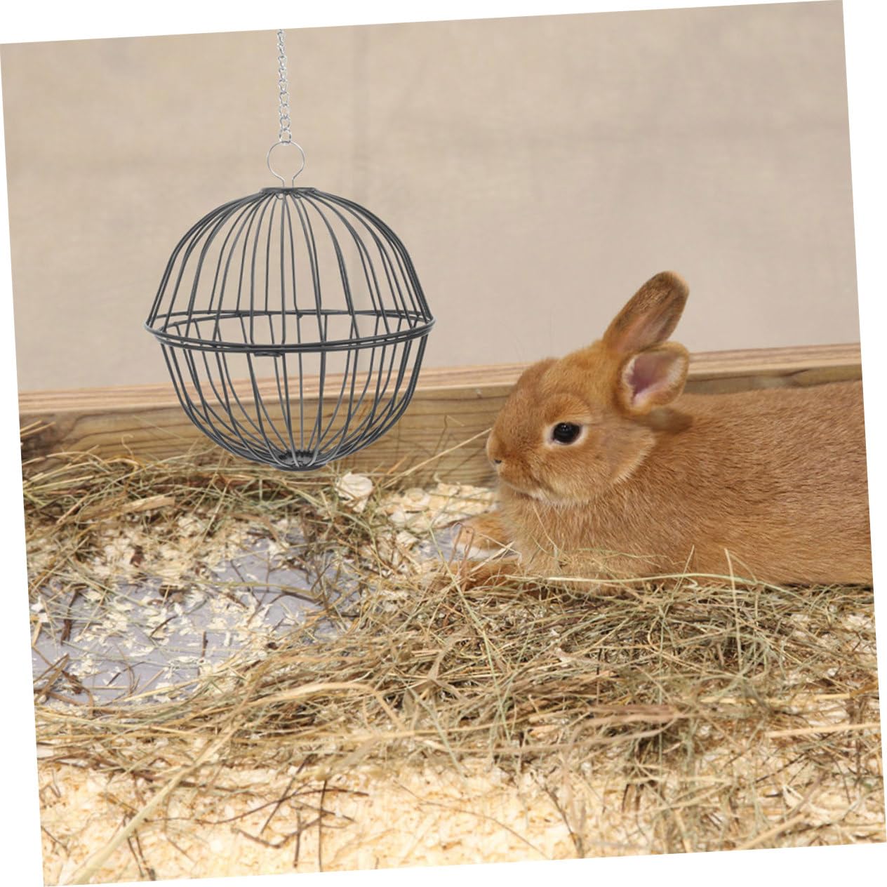 4pièces Distributeur De Foin pour Lapins Boules à Grains Suspendues pour Animaux De Compagnie Jouets Amusants pour Rongeurs Et Oiseaux Accessoire De Cage pour Hamsters Et
