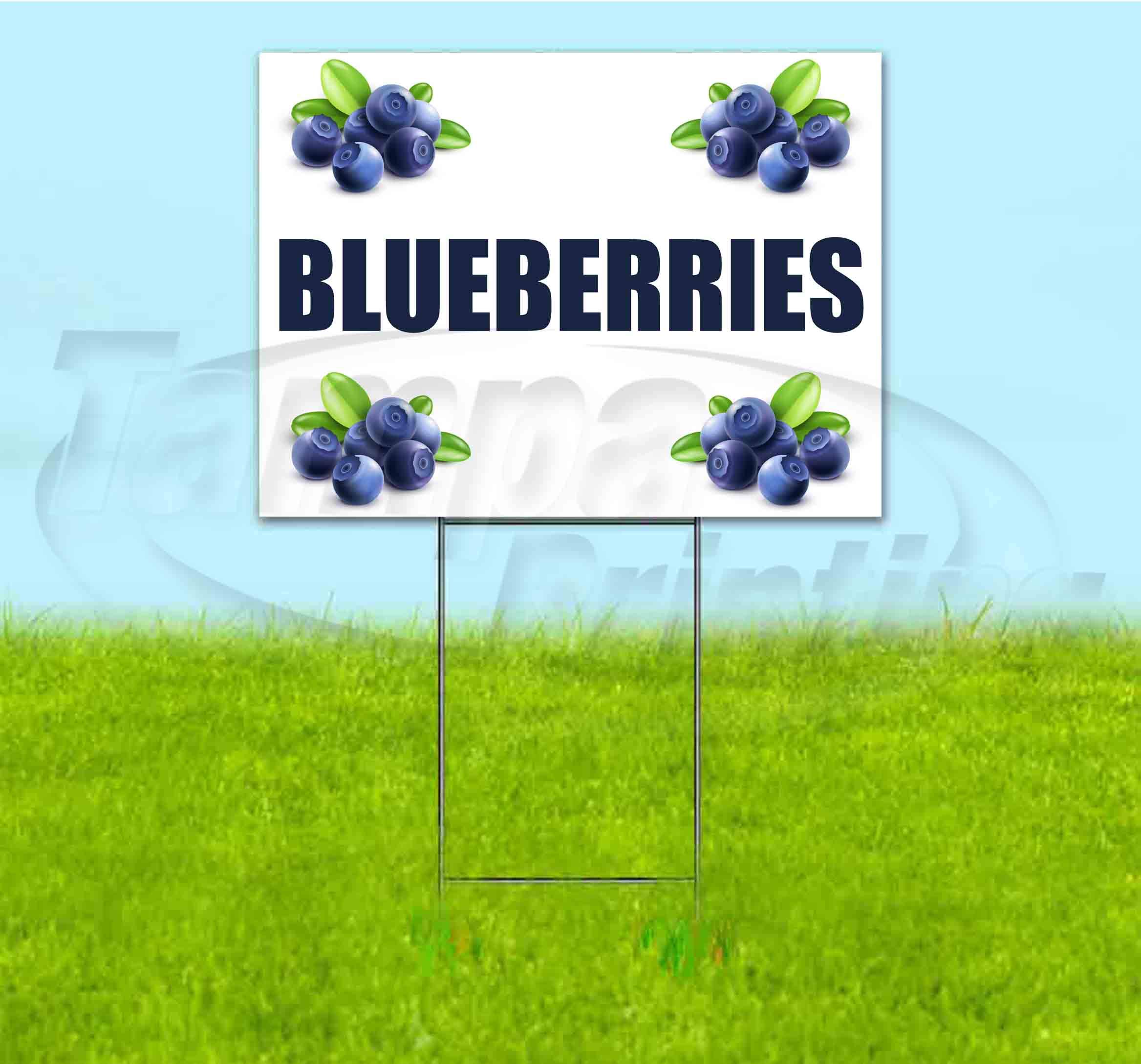 Blueberries (18" X 24") Yard Sign, Quantity Discounts, Multi-Packs, Includes Metal Step Stake, Bandit Sign