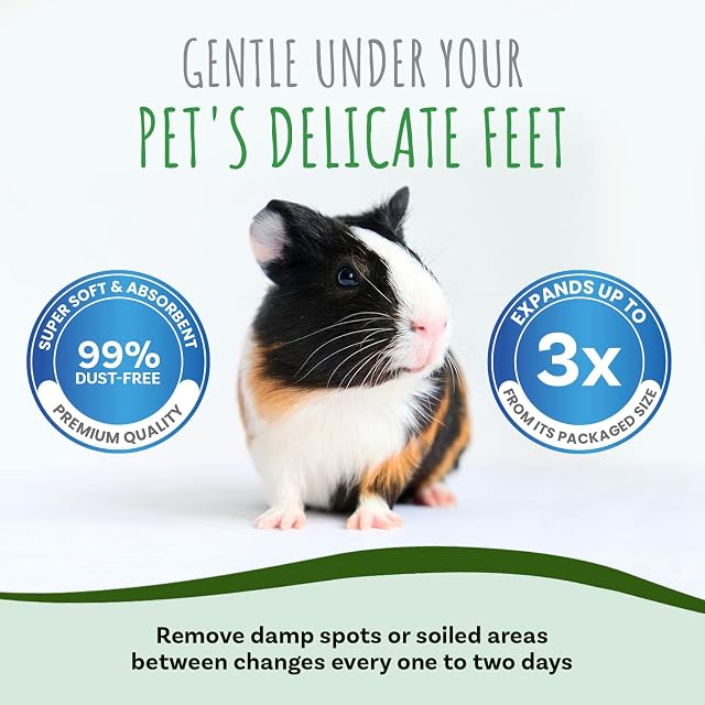 Foto 5 de 6 de Small Pet Select Pequeño Mascota Seleccione Premium Suave Papel Ropa de Cama