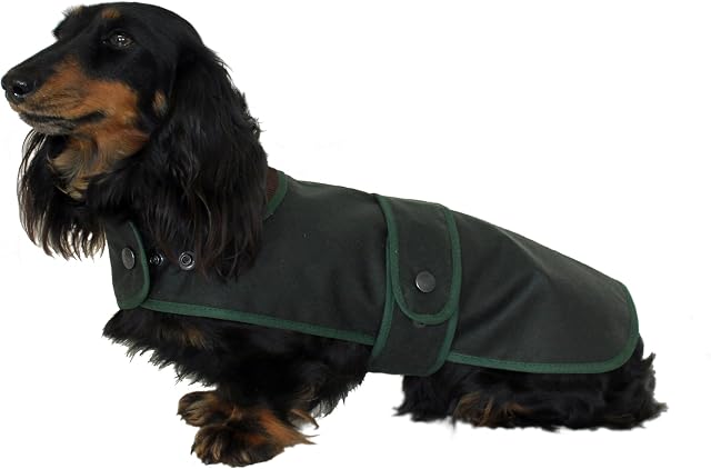 "Cosipet Dachshund Hunter Coat, 15" (38 cm), green
