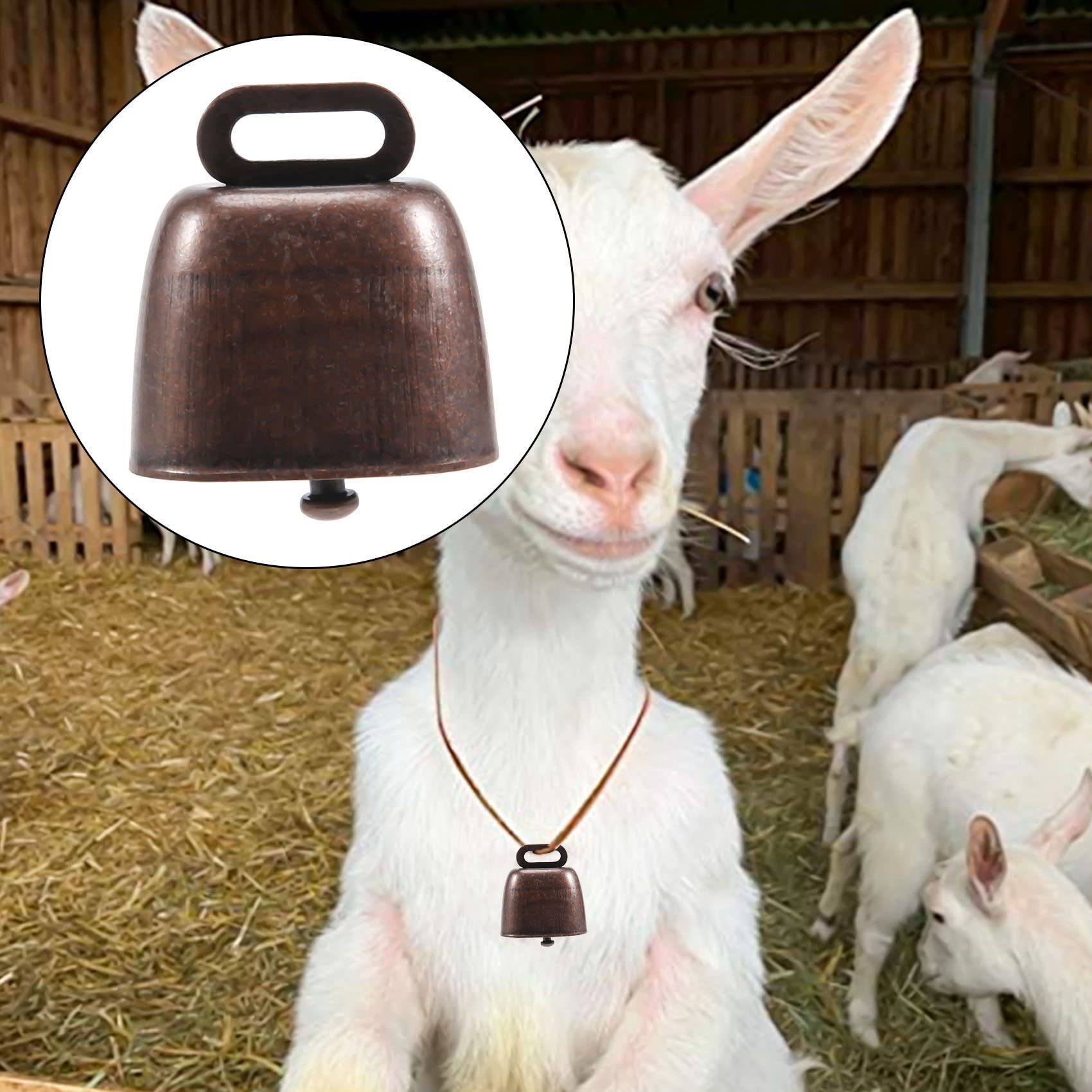 Mucca cavallo pecora che pascola campane di rame g... – Grandado Mucca cavallo pecora che pascola campane di rame g... – Grandado