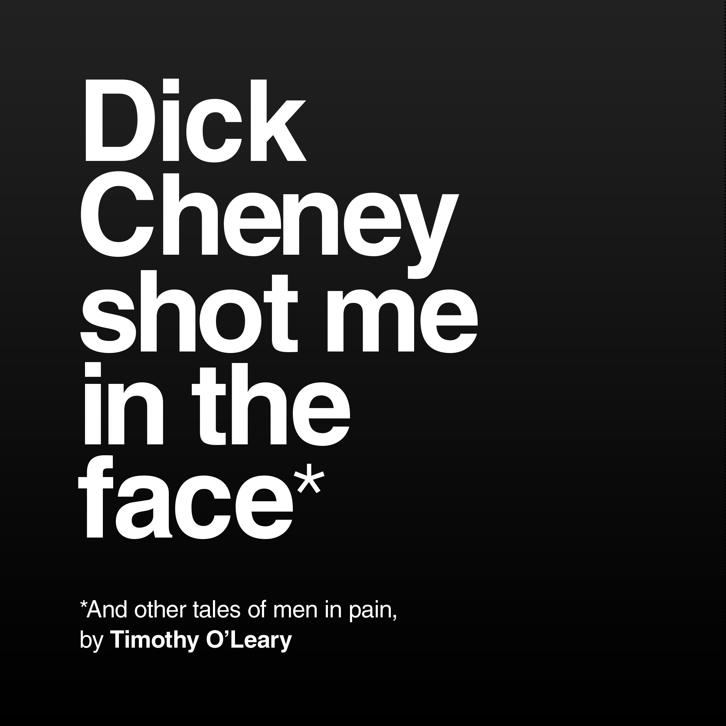 Dick Cheney Shot Me in the Face