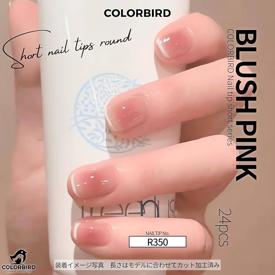 1638 不足分　ネイルチップ 71GA31rxujL._UF894,1000_QL80_.jpg