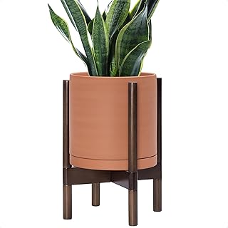 D'vine Dev Terracotta Planter with Walnut Color Stand - 10 Inch Modern R...