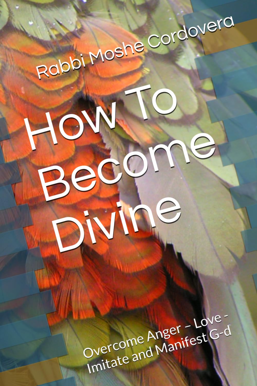 How To Become Divine: Overcome Anger – Love - Imitate and Manifest G-d (Meditations Mysticism Meaning)
