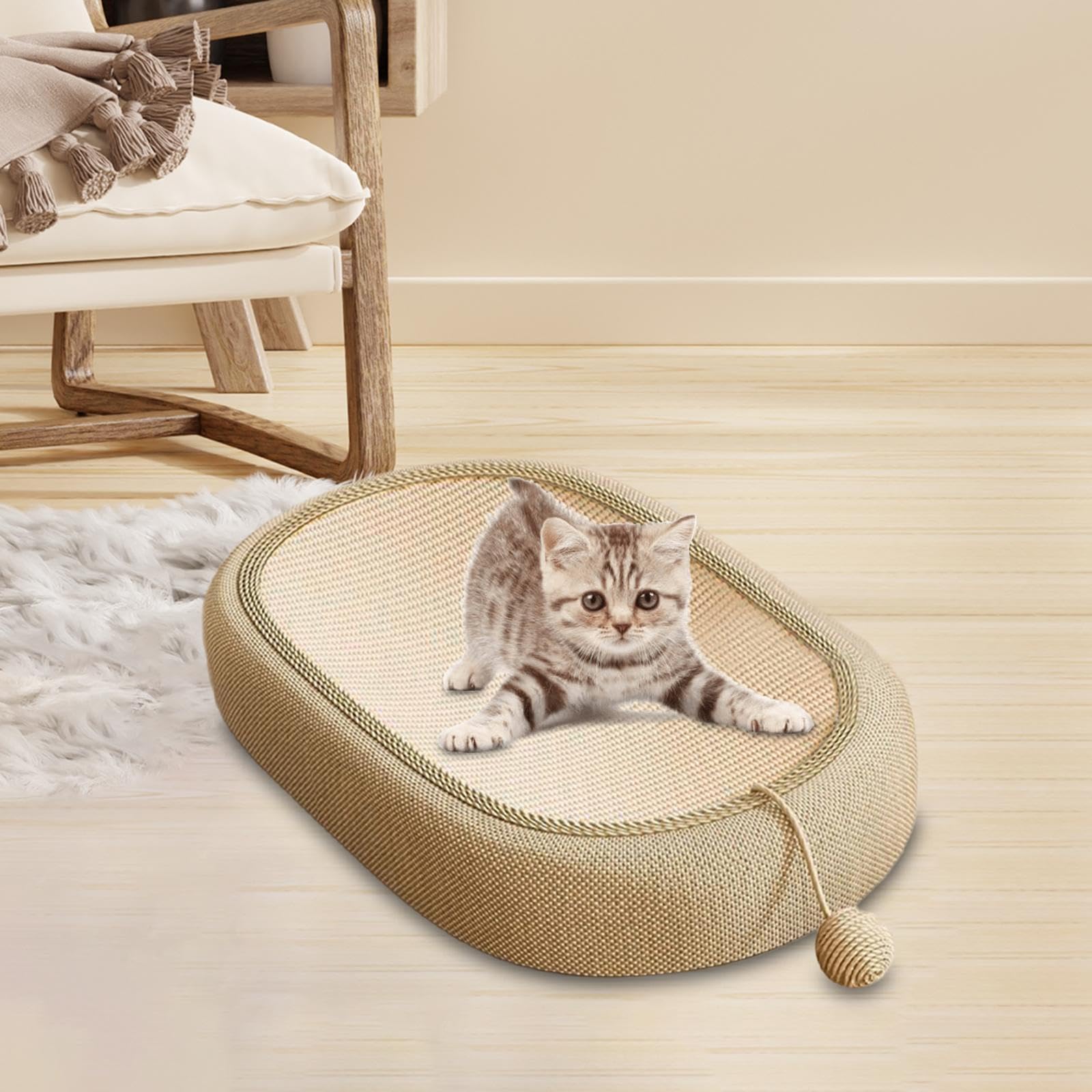 Katzenkratzbett mit Interaktivem Spielball, Katzenkratzbrett für, Geschenk für Wohnungskatzen Und Kätzchen, groß