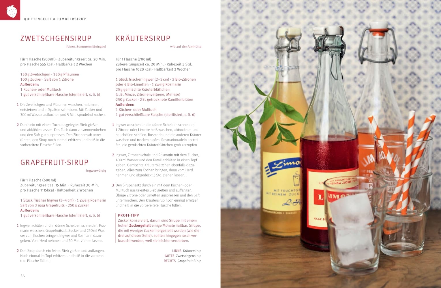 Homemade! Das Goldene von GU: Rezepte zum Einmachen und Selbermachen (GU Die goldene Reihe)