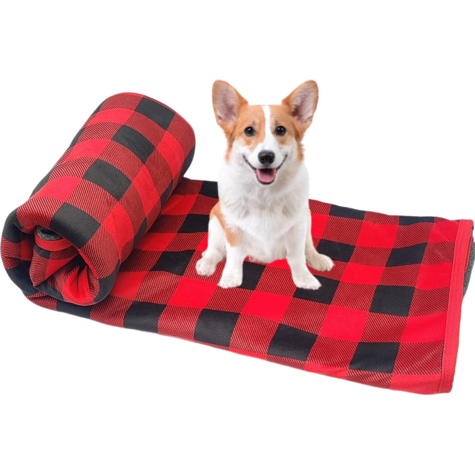 See full amazon price history chart for PETLICIOUS & MORE® Ultra Warm Soft Polyester Red-Black Blanket Check Design Winter Blankets for Puppies, Dogs & Cats (Size - M, Dimension - L*W 48 * 34 Cm) PETLICIOUS & MORE® Ultra Warm Soft Polyester Red-Black Blanket Check Design Winter Blankets for Puppies, Dogs & Cats (Size - M, Dimension - L*W 48 * 34 Cm) (B09Q99RWYF) Amazon Price History, Amazon Price Tracker