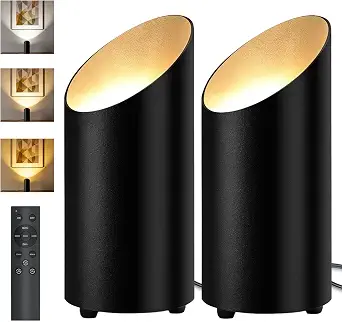 2 Pack Dimmable Indoor Floor Can Lights with Remote & Timer, Black, 3 Color Temps, 12 LED Beads, 5.9FT Cord