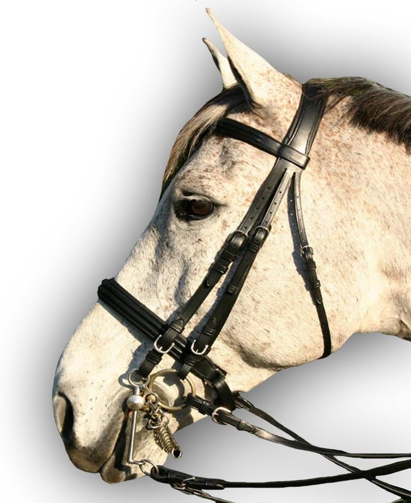 Saddlesworld Black Flat Padded Leather Bridle