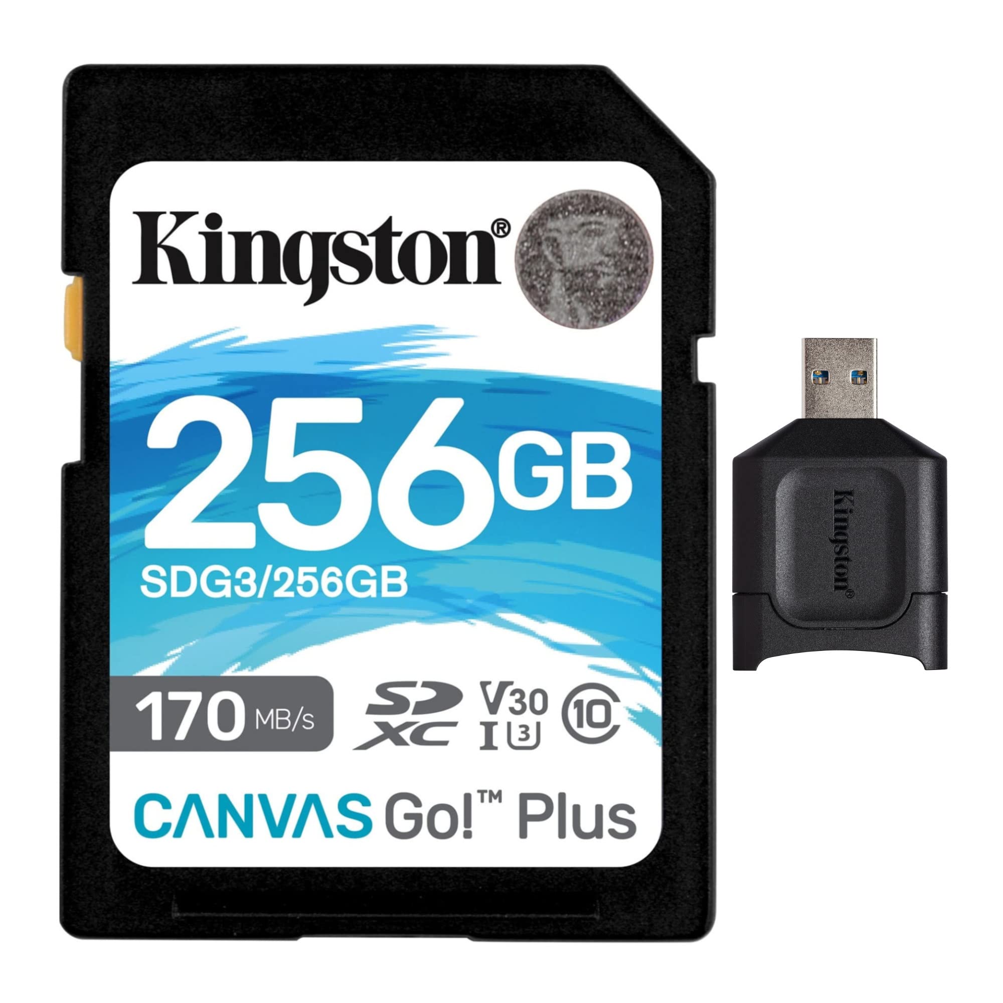 Amazon.co.jp: Kingston (キングストン) 256GB SDXC Canvas Go Plus 