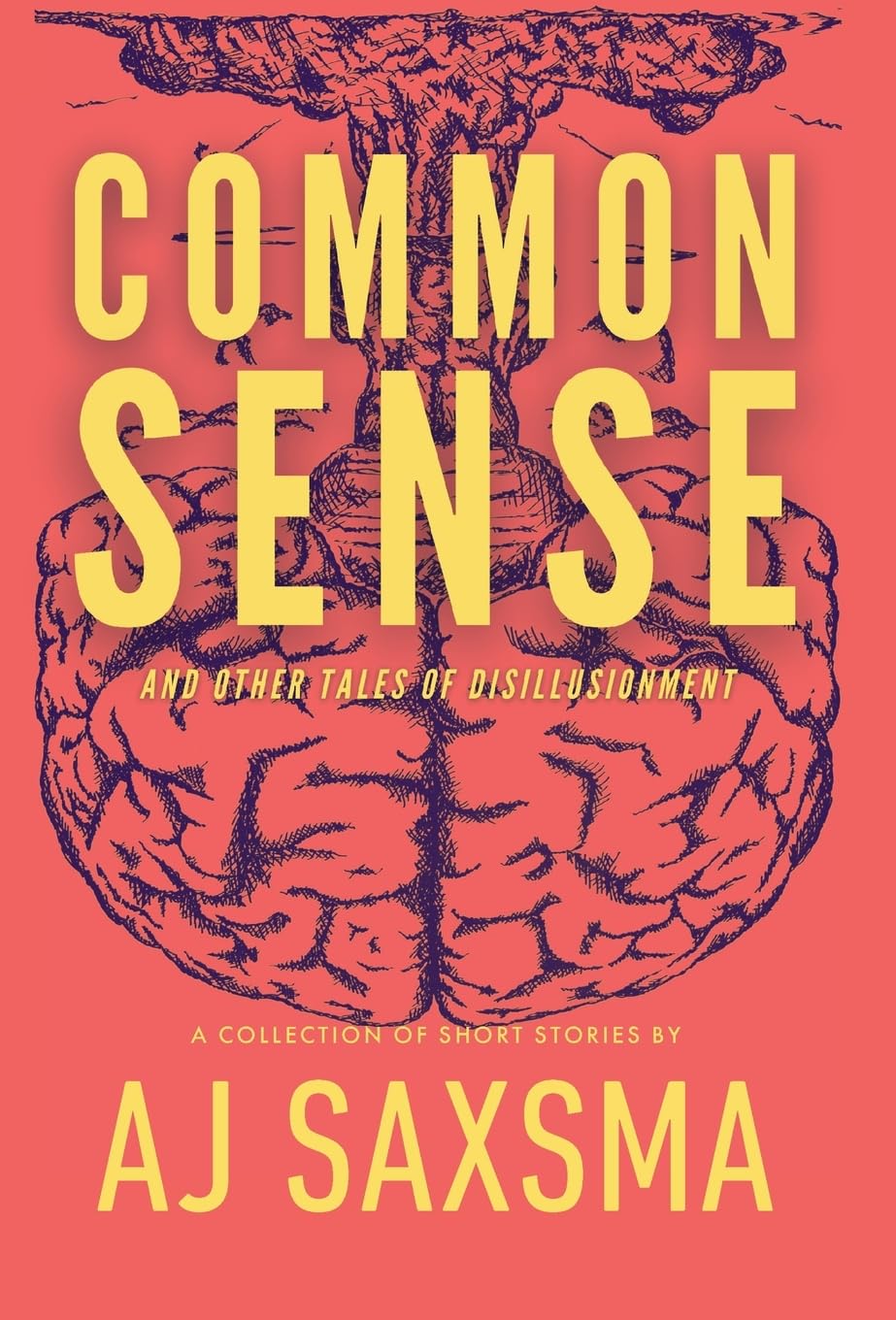 Common Sense & Other Tales of Disillusionment
