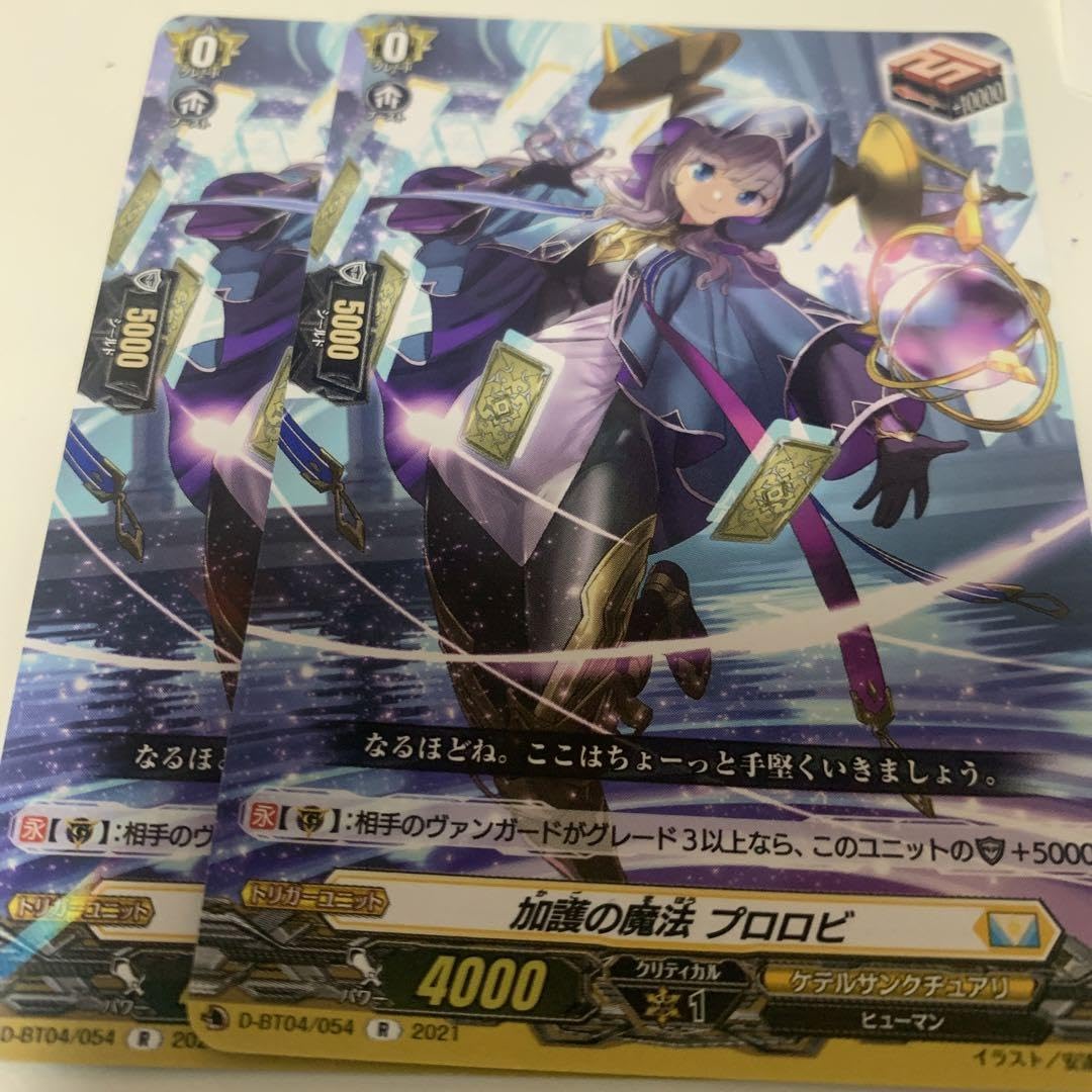 加護の魔法 プロロビ