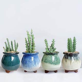 Casktcom 3 Inch Handmade Glazed Ceramic Succulent Planter Pots Set of 4 with Drainage - Cute Mini Cactus Pots for Desk
