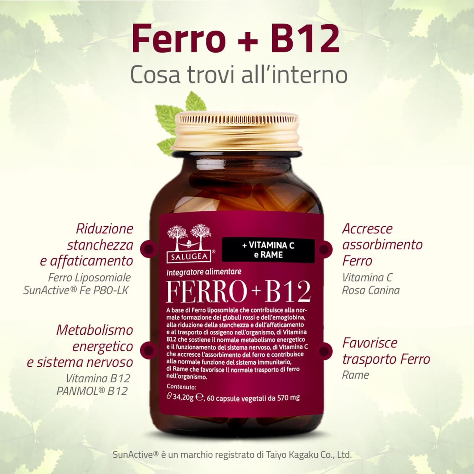 Salugea FERRO + B12 Salugea - Integratore 100% Naturale - Con Ferro liposomiale, Vitamina B12, Rosa Canina (Vitamina C) e Rame - 60 Capsule Vegetali in Flacone in vetro scuro farmaceutico