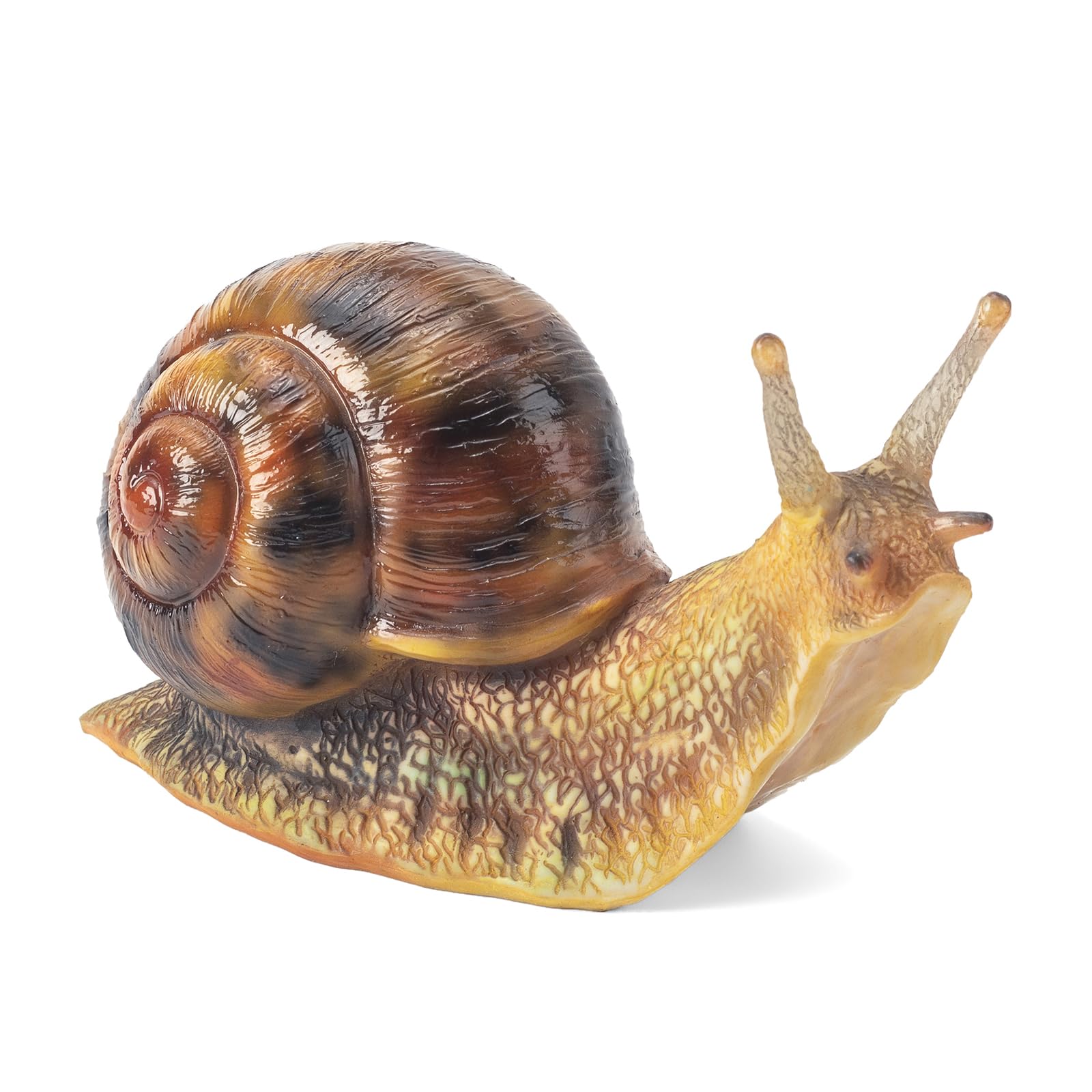 SUYNYBHF Resin Snail Sculpture