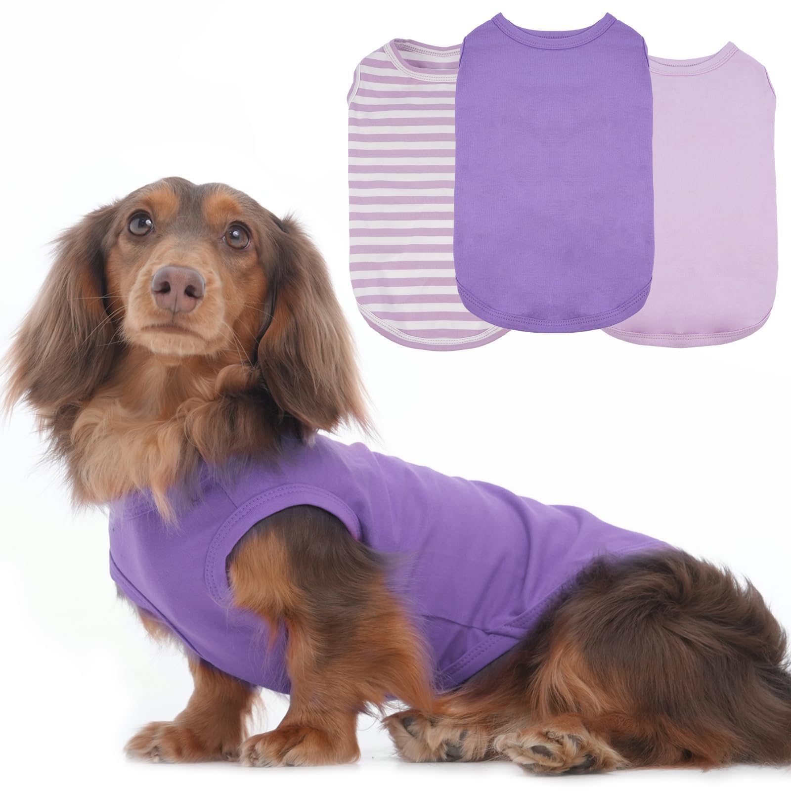 Paquete de 3 camisetas M a rayas moradas para perros pequeños, camiseta mediana sin mangas para clima lluvioso, mantiene el calor corporal después de correr, camisa ligera de protección contra el
