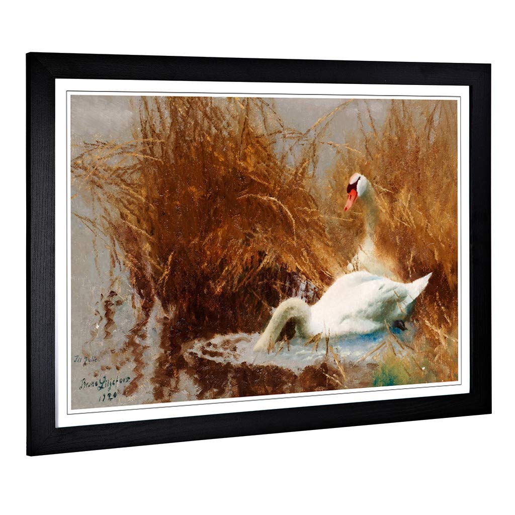 Big Box Art Framed Print of Bruno Liljefors Swans Design | Wall Art Picture | Home Decor for Kitchen, Living, Dining Room, Lounge, Bedroom, Hallway, Office, Black, A2 / 24.5x18 Inch / 62x45cm