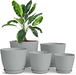 Utopia Home Pack of 5 - Plastic Plant Pots - Planters for Indoor Plants Saucer Tray - Nursery Pots Indoor with Drainage Holes,Succulent Pot (Black)
