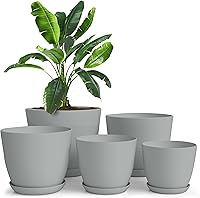 Vista 26 de Utopia Home - Macetas de Interior con Drenaje - Macetas de Flores de 7/6.6/6/5.3/4.8 Pulgadas para Plantas de Interior - Juego de 5 Macetas