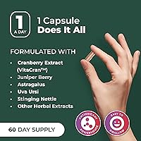 Vista 7 de PurePremium Suplemento de apoyo renal con extracto de arándano, limpieza renal, desintoxicación y reparación para hombres y mujeres, apoyo