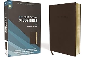The NIV Foundation Study Bible for Men