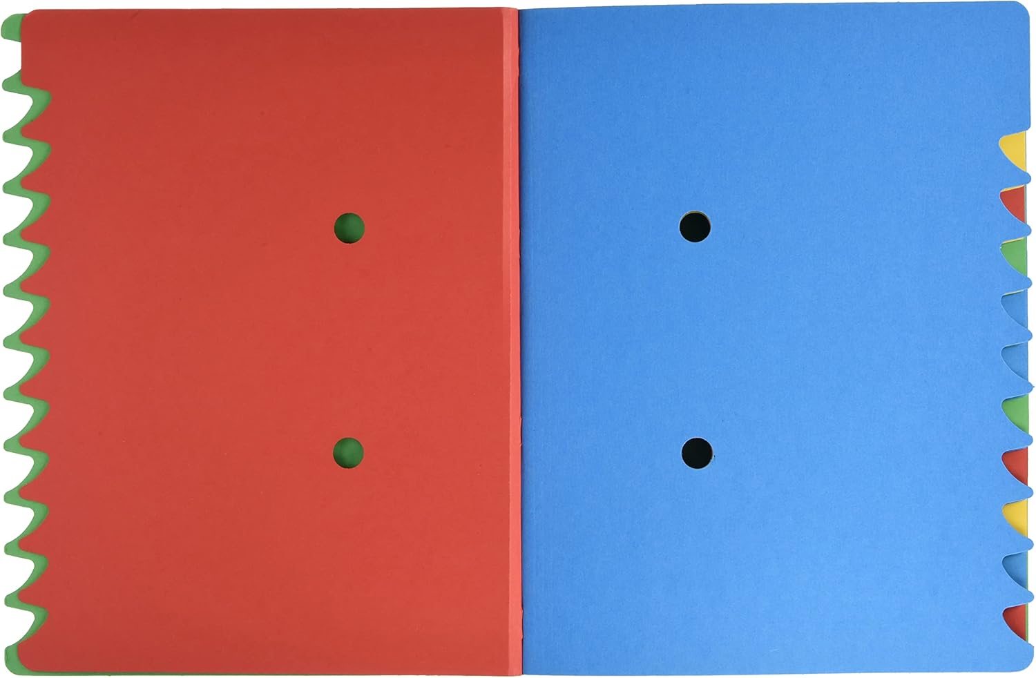 Leitz 39120055 File Folder 12 Compartments Coloured Chipboard Green