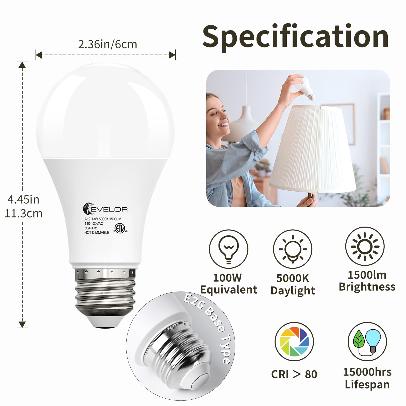 6-Packs A19 LED Light Bulbs 100 Watt Equivalent Daylight 5000K Bright Bulbs Efficient 13W 1500 Lumens E26 Base — view 2