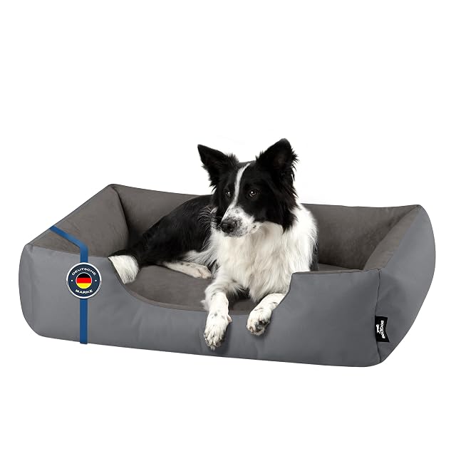 BedDog Zara - Cama para Perros con Funda extraíble y Lavable, sofá para Perros medianos XL