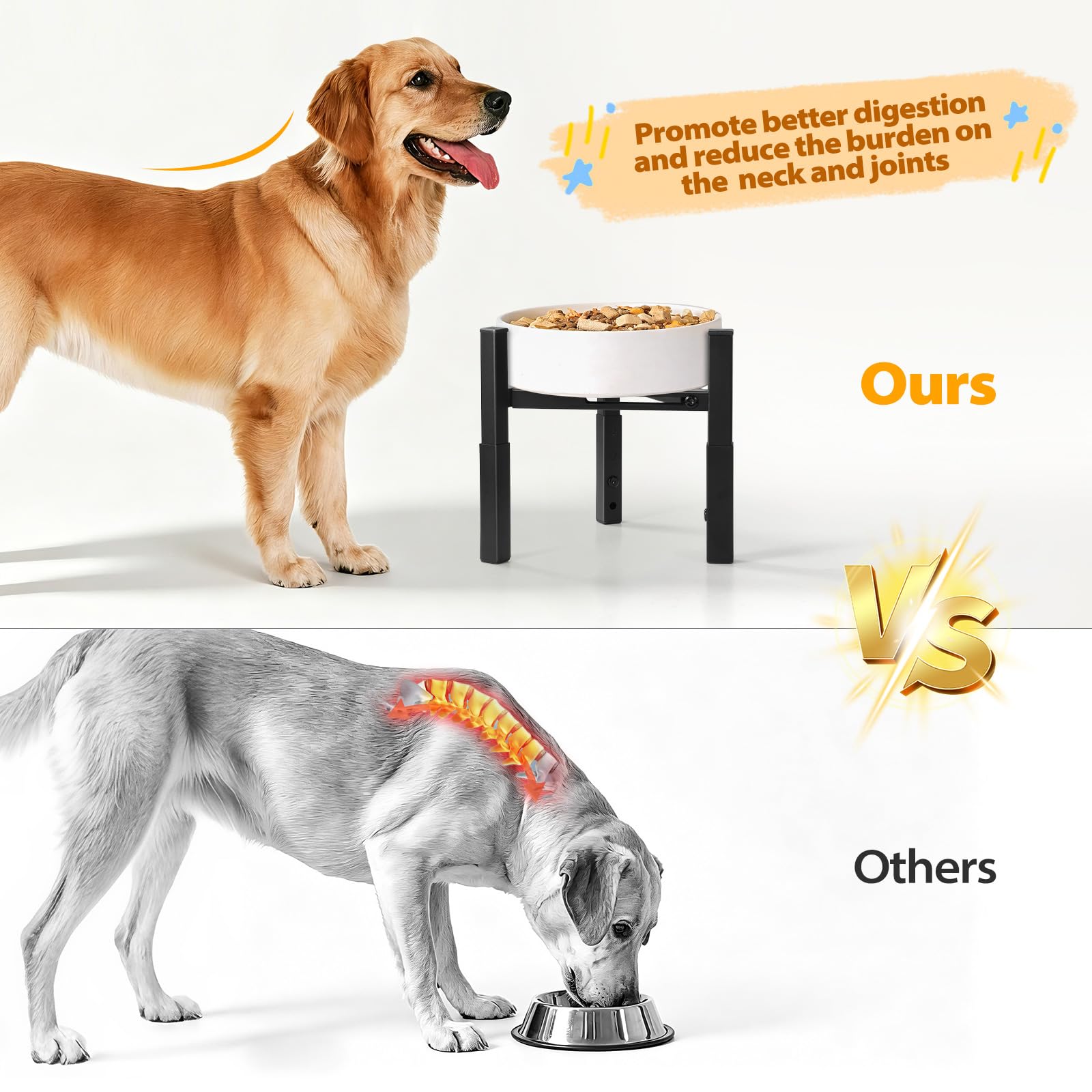 Cuenco elevado para perros