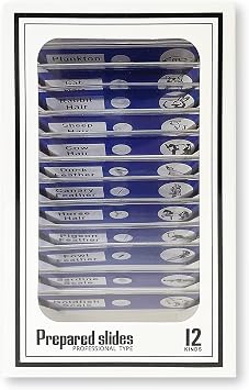 The Carson MicroFlip 100 x 250 x LED and UV-lit pocket microscope comes with a drop-down scroll base and smartphone discop clip, 24 ready-made insect and animal slides (MP-250BUN)