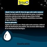 Ver la foto 5