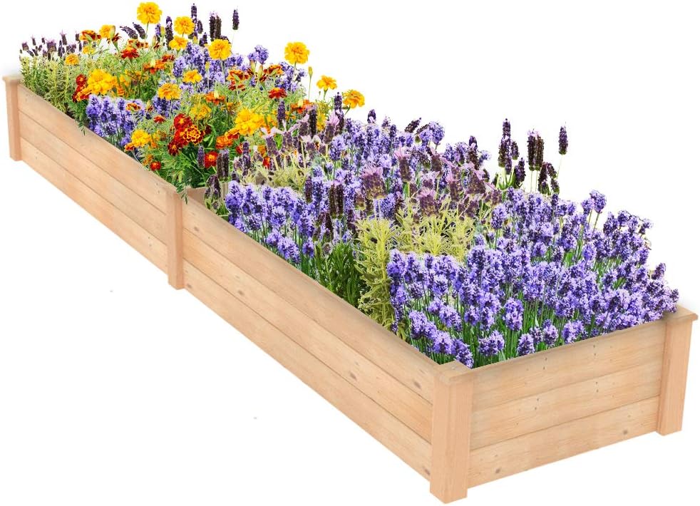 ECOgardener Raised Bed Planter, 2’x8’. Outdoor Wooden Raised Garden Bed Kit for Vegetables, Fruit, Herbs, Flowers and Plants.