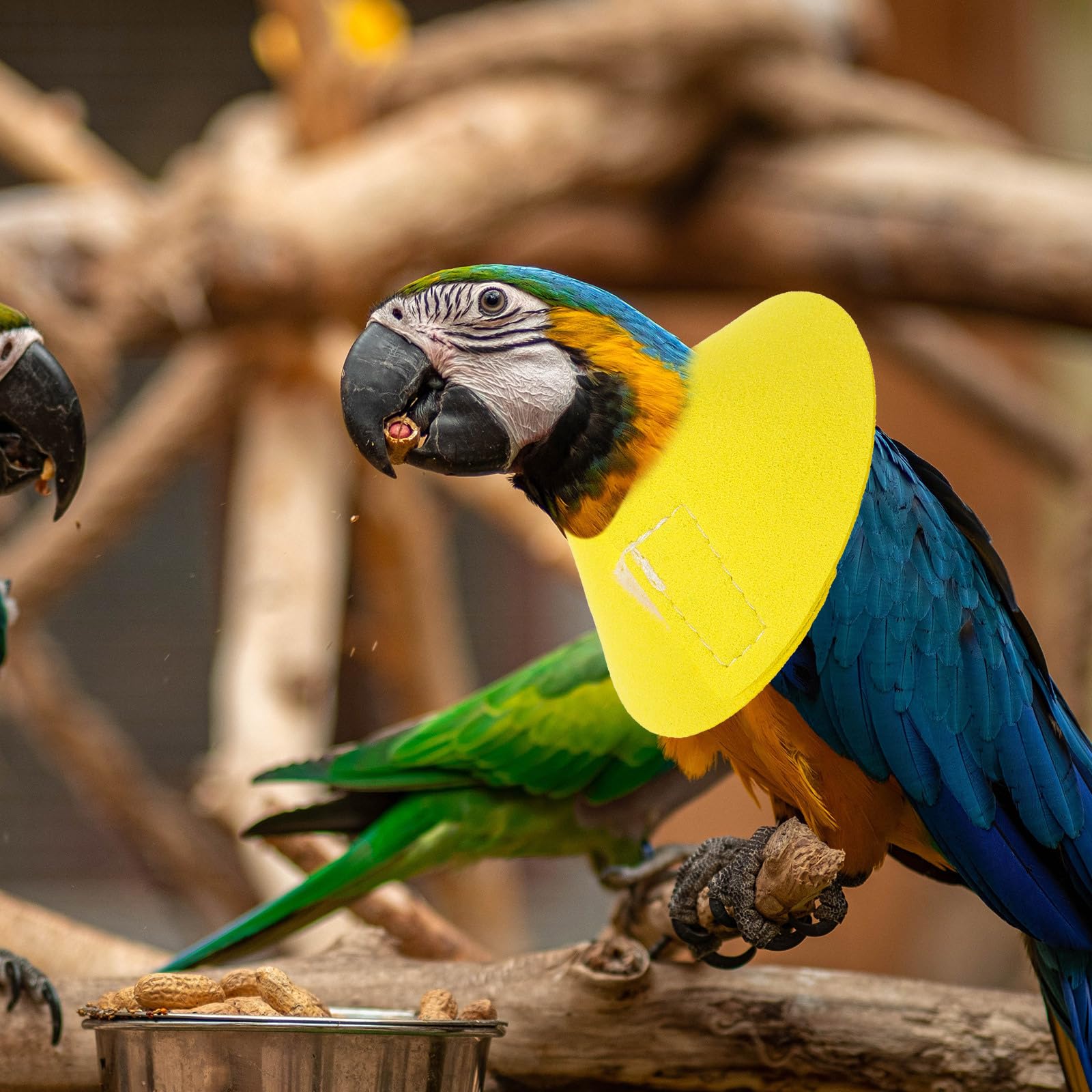 POPETPOP Bird Recovery Collar: Microfiber Leather Anti-Biting Neck Cone for Parrot Budgie Lovebird Wound Healing Protective Elizabeth Collar - Image 3