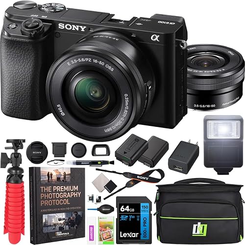 Sony a6100 Mirrorless Camera 4K APS-C w/ 16-50mm F3.5-5.6 OSS Lens ILCE-6100LB | Official Sony USA Partner Model | Bundle with Deco Gear Case + Battery + Flash + Wide & Telephoto Lens + Filter Kit