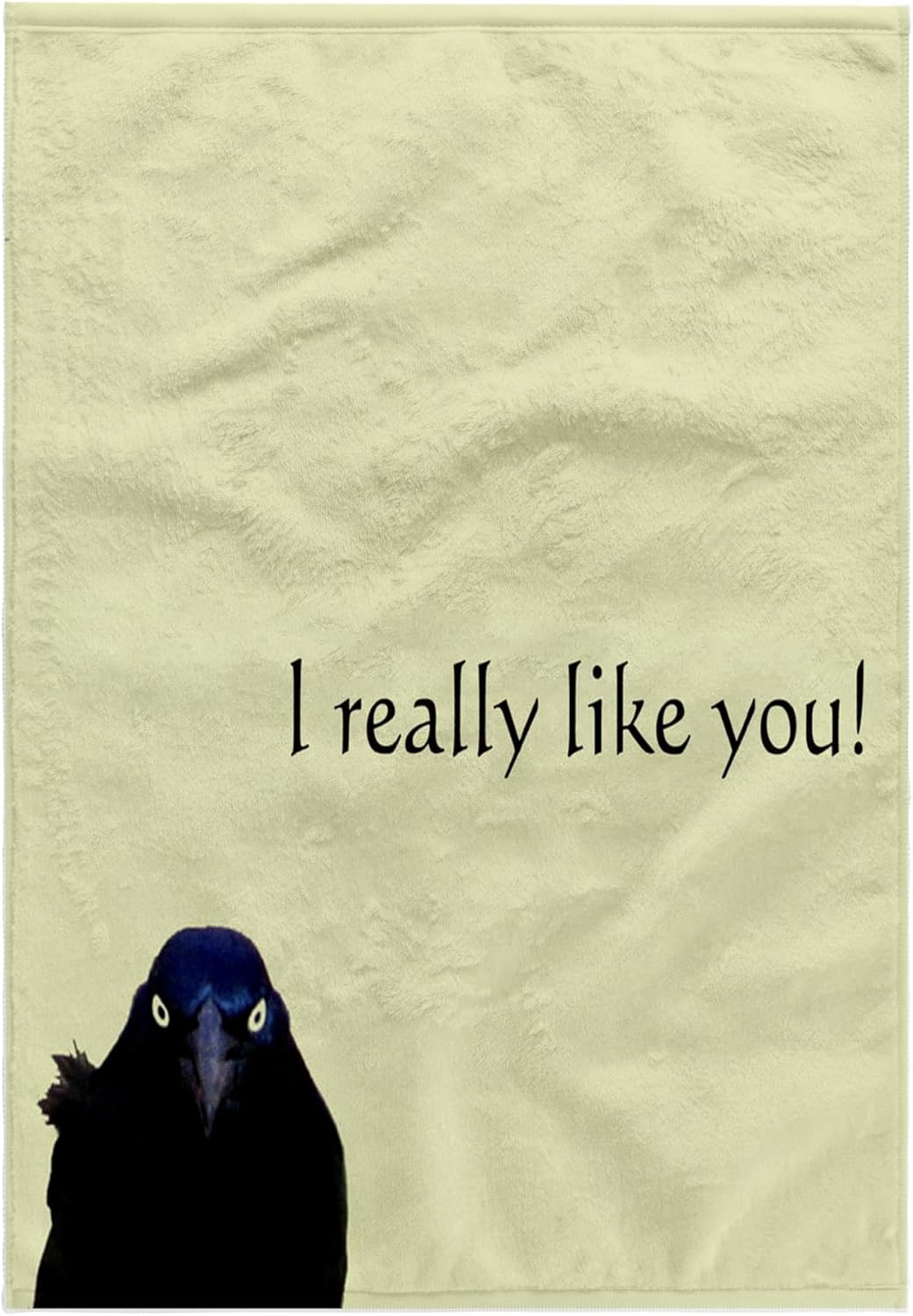 3dRose Grackle, I Really Like You 22x30 Bath Hand Pool Towel